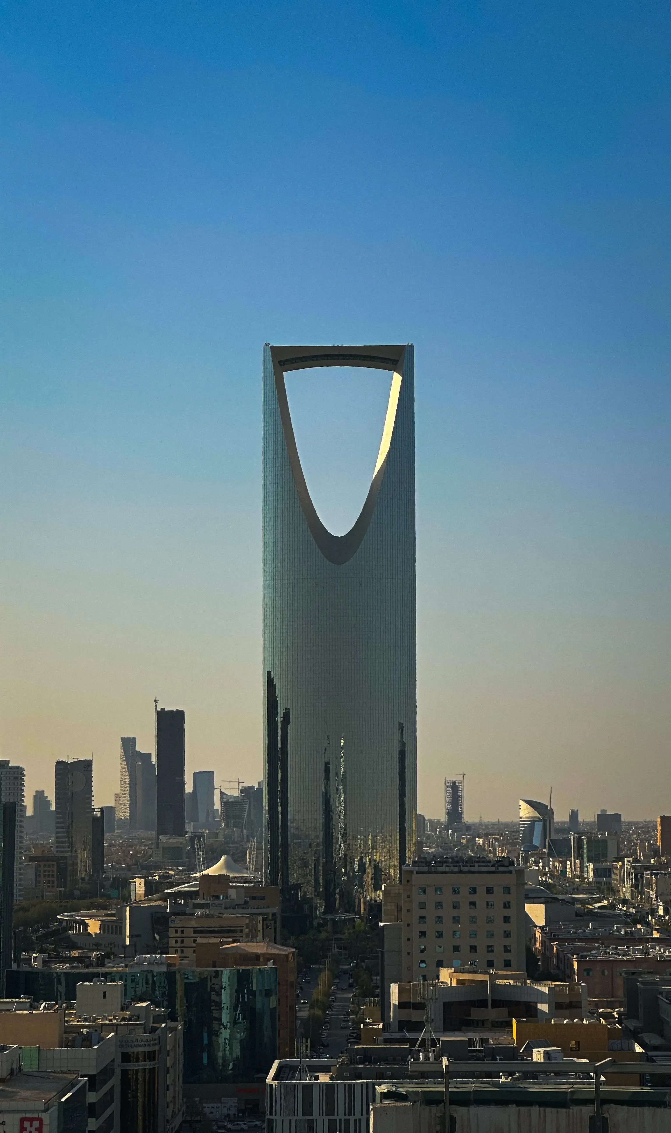 Riyadh Landscape